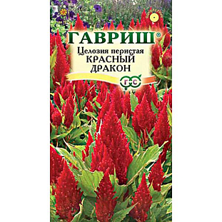 Целозия Красный Дракон перистая Целозия Красный Дракон перистая