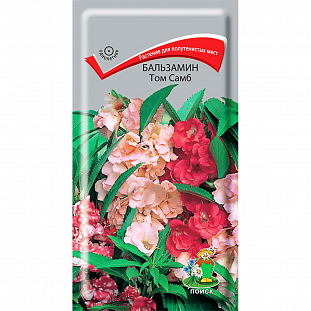 Семена Бальзамин Том Самб