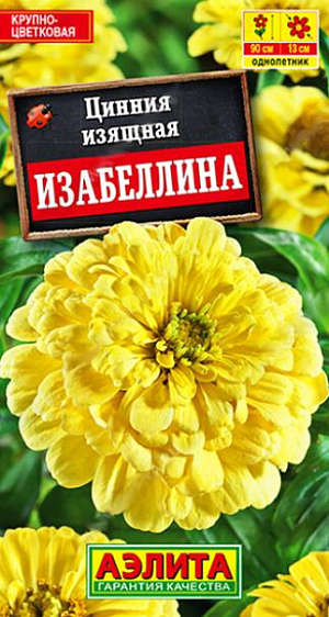 Семена&nbsp;Цинния георгиновидная Изабеллина.&nbsp;Крупноцветковый сорт с редкой у цинний окраской. Цвет&nbsp;&nbsp;солнечного лайма по-летнему свежий, искристый и выразительный. Кусты высотой до 90 см, мощные, хорошо облиственные, с крепкими цветоносами. Многочисленные язычковые цветки («лепестки») черепитчато уложены в соцветия георгиновидного типа, диаметром 10-13 см. Сорт универсального использования. Рекомендуется для оформления цветников открытого грунта и на срезку в букеты. В цветниках удачно сочетается с розовыми и пурпурными цинниями, ярко-желтыми бархатцами и календулой, сиреневыми астрами.<br>
 <br>
 Циннии – растения теплолюбивые, быстрорастущие, относительно засухоустойчивые. Предпочитают солнечные участки с дренированными почвами среднего плодородия, нейтральной кислотности. В южных регионах возможен без рассадный способ выращивания.<br>