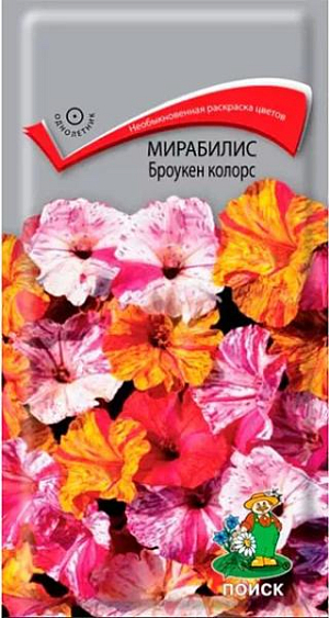 Семена&nbsp;Мирабилис Броукен колорс.&nbsp;Необыкновенная раскраска цветов!&nbsp;Многолетнее растение, используется как однолетник. Растение прямостоячее, ветвистое, высотой 50 см. Цветёт обильно с июня до заморозков. Цветы раскрываются после 15 часов, а закрываются утром. Используют для оформления цветников, рабаток. &nbsp;<br>
 <br>
&nbsp;Агротехника.&nbsp;Растение свето- и&nbsp; теплолюбивое, засухоустойчивое. Предпочитает суглинистые, хорошо дренированные почвы. Посев семян производят в начале мая непосредственно в грунт. Глубина заделки семян 1,5-2 см. При выращивании рассады семена высевают в апреле в рассадные ящики. При температуре почвы +18-20°C всходы появляются через 5-10 дней. Сеянцы в фазе 2-3-х настоящих листьев пикируют по одному в горшочки. В июне высаживают в грунт, выдерживая расстояние между растениями 30-40 см.&nbsp;