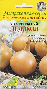 Лук репчатый Ледокол