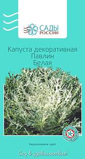 Капуста декоративная Павлин Белая Капуста декоративная Павлин Белая