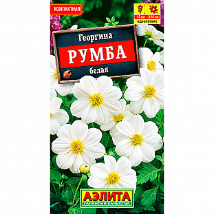 Семена Георгина Румба белая