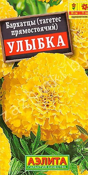 Семена Бархатцы Улыбка.
Высокорослые раннецветущие бархатцы с крупными густо махровыми соцветиями-корзинками (9-11 см). Кусты прочные, ветвистые, высотой до 90 см, с множеством крепких цветоносов. Цветение обильное и продолжительное. Растения неприхотливые, засухоустойчивые, тепло- и светолюбивые, сохраняют свою декоративность под действием ветра и дождя. Используются для посадки в цветники, рабатки и на клумбы. Хорошо подходят для срезки, срезанные цветы стоят в воде до двух недель. 
Агротехника. Выращивают рассадным способом. Посев семян проводят в первой половине апреля. Всходы появляются через 4-8 дней после посева, сеянцы пикируют в фазе одного-двух настоящих листьев. Рассаду высаживают в конце мая-начале июня. Возможен посев в открытый грунт в мае на глубину 1,5-2 см.