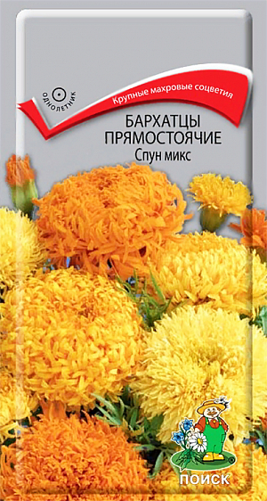 Семена Бархатцы Спун микс прямостоячие. Обильное и продолжительное цветение.&nbsp;Растения высотой около 40 см. Цветы крупные, махровые и шарообразные, золотистые, жёлтые и оранжевые. Цветет с июля до заморозков. Чтобы продлить цветение, необходимо удалять увядшие цветки. Используют для клумб, рабаток. Растения, очень выровненные, прекрасно подходят для ковровых композиций.<br>
Агротехника.&nbsp;Растение теплолюбивое, засухоустойчивое. Предпочитает солнечное место, к почвам не требовательно. Семена высевают в апреле-мае в рассадные ящики. Глубина заделки семян 0,5-1 см. При температуре +18°С всходы появляются на 7-15 день. Через 2 недели сеянцы пикируют в грунт рассаду высаживают после окончания весенних заморозков, выдерживая расстояние между растениями 20-30 см.&nbsp;