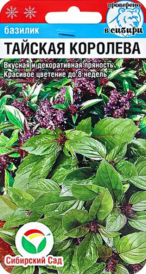 Семена Базилик Тайская королева