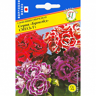 Семена Глоксиниия Брокэйд Смесь F1