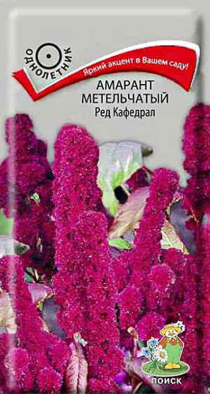 Семена&nbsp;Амарант метельчатый Ред Кафедрал.&nbsp;Растение образует густооблиственный куст высотой около 120 см. Соцветия насыщено-бордовые, колосовидные, вертикальные. Цветёт с июня до морозов. Используют для одиночной посадки, создания групп в пейзажных композициях, для сухих букетов.<br>
Агротехника.&nbsp;Засухоустойчивое растение предпочитает рыхлые, питательные почвы и солнечные места. Размножают семенами, посев которых производят в конце мая в открытый грунт на постоянное место, с последующим прореживанием на 40-60 см. Глубина заделки семян 0,5 см. При температуре почвы +18°С время от посева до всходов 6-14 дней. Можно пользоваться и рассадной технологией при этом семена высевают в конце марта - начала апреля, пикируют в горшочки, в открытый грунт высаживают в конце мая. Легко возобновляется самосевом.&nbsp;