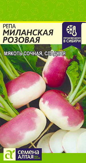 Семена Репа Миланская розовая