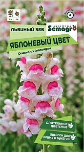 Львиный Зев Яблоневый цвет