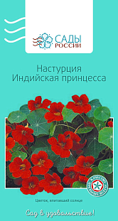 Настурция Индийская принцесса 