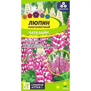 Семена Люпин Чателайн