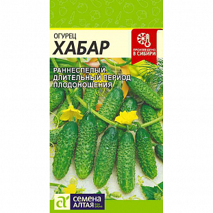 Семена Огурец Хабар