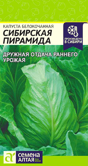 Семена Капуста белокочанная Сибирская Пирамида