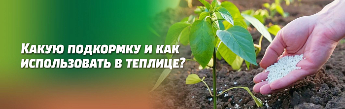 КАКУЮ ПОДКОРМКУ И КАК ИСПОЛЬЗОВАТЬ ДЛЯ РАЗЛИЧНЫХ РАСТЕНИЙ В ТЕПЛИЦЕ