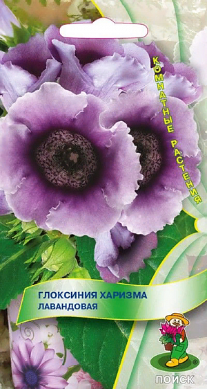 Семена Глоксиния Харизма лавандовая.
При благоприятных условиях одновременно появляется до 20 бутонов на одном растении. Уникальная окраска - нежно-лавандовая с фиолетовым зевом и темными крапинками. Хорошо растет в достаточно освещенных местах, но без прямых солнечных лучей. Полив постоянный, обильный, избегая попадания воды на листья и цветки, лучше применять полив в поддон. Почвенная смесь: листовая, торфяная земля, сфагнум, песок в отношении 1:1:1:1. После цветения у растения наступает период покоя. Посев производят в январе-феврале, землей семена не присыпают, для поддержания постоянной влажности накрывают стеклом или пленкой. При температуре почвы +18-20°С всходы появляются через 14-20 дней. Через месяц сеянцы пикируют, а затем пересаживают в горшки. Растения, полученные из семян, зацветают через 6-7 месяцев.