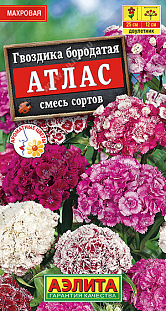 Семена Гвоздика Атлас турецкая махровая, смесь сортов