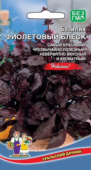 Семена Базилик Фиолетовый блеск Семена Базилик Фиолетовый блеск