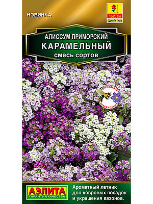 Семена Алиссум Щедрая красотка, смесь окрасок 

Смесь летника, пользующегося большой популярностью у садоводов из многих стран. Обладает неповторимым чудесным ароматом и очень прост в выращивании. Формирует стелющиеся ветвистые кустики высотой около 15 см. Обильно цветет с июня до заморозков. Прекрасно смотрится на клумбах и альпийских горках, заполняет пространство между невысокими многолетниками. Отлично подходит для композиций в контейнерах с другими летниками.