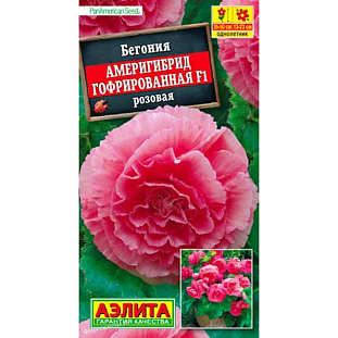 Семена Бегония Америгибрид гофрированная F1 розовая