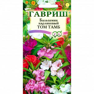 Семена Бальзамин Том Тамб