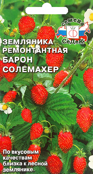 Семена Земляника (клубника) Барон Солемахер ремонтантная