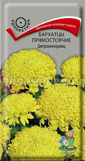 Семена&nbsp;Бархатцы прямостоячие Цитроненпринц.&nbsp;Оригинальные «кучерявые» хризантемовидные соцветия.&nbsp;Растение высотой около 70 см. Цветение обильное продолжительное - с июля до заморозков. Чтобы продлить цветение, необходимо удалять увядшие цветки. Используют для клумб, рабаток.<br>
 <br>
&nbsp;Агротехника.&nbsp;Растение теплолюбивое, засухоустойчивое. Предпочитает солнечное место, почва любая, дренированная. Семена высевают в апреле-мае в рассадные ящики. Глубина заделки семян 0,5-1 см. При температуре почвы +18°С всходы появляются на 7-15 день. Через 2 недели сеянцы пикируют. В грунт рассаду высаживают после окончания весенних заморозков, выдерживая расстояние между растениями 30-40 см