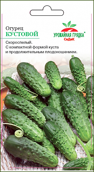 Семена Огурец Кустовой