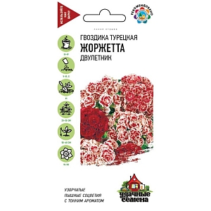 Семена Гвоздика Жоржета.
Травянистое растение с многочисленными узловатыми стеблями. Стебли прямые, прочные, листья сидячие, ланцетные с серо-голубым оттенком. Цветки махровые, бархатистые, ароматные, самой разнообразной окраски и с ярко выраженным рисунком: узорчатой каймой и глазком; собраны в плотные щитковидные соцветия. Цветет в июне-июле. Зимостойка, предпочитает освещенные участки с легкими плодородными почвами, может расти в полутени. Размножают посевом семян в грунт весной или под зиму. Используют для цветников, бордюров и поучения высококачественной срезки.