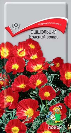 Семена Эшшольция Красный вождь.
Красивое растение с ярко-красными соцветиями. Многолетнее растение до 40 см высотой, используемое как однолетнее. Цветки одиночные, чашевидной формы, 5-8 см в диаметре. Цветет обильно с июня по октябрь. Используют для клумб, рабаток, каменистых горок.
Агротехника. Растение светолюбивое, холодо- и засухоустойчивое, предпочитает легкие дренированные почвы. Посев проводят в мае на постоянное место. Глубина заделки семян 0,5-1 см. При температуре почвы +18°С всходы появляются на 8-10 день. Сеянцы прореживают, выдерживая расстояние между растениями 10-12см. Пересадки не переносят. Семена соответствуют требованиям международных стандартов и ГОСТу РФ 12260-81.