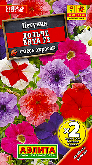 Семена Петуния Дольче Вита многоцветковая смесь окрасок F2.
Восхитительная петуния, которая отличается компактностью куста и крупными, яркими цветками. Продолжительность цветения и невзыскательность к неблагоприятным условиям делают это растение незаменимым для оформления клумб и рабаток, а также для украшения своим праздничным нарядом комнат, балконных ящиков, подвесных корзин и кашпо.