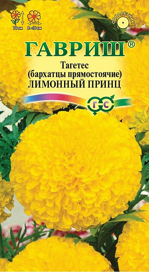 Бархатцы Лимонный принц прямостоячие из каталога Бархатцы Семена Бархатцы Лимонный принц прямостоячие.
Одно из самых распространенных однолетних растений семейства Астровые. Образует куст высотой 70 см с ясно выраженным главным побегом.
Соцветия крупные (8-10 см в диаметре) густомахровые, шаровидные, лимонно-желтой окраски. Цветет с июня по сентябрь.
Бархатцы светолюбивы и теплолюбивы, заморозков не переносят, к почвам нетребовательны, но предпочитают плодородные легкие почвы.
Выращивают, как правило, рассадным способом. Посев проводят во второй половине марте-начале апреля. Всходы появляются через 4-8 дней после посева, сеянцы пикируют в фазе 2-го настоящего листа. Рассаду высаживают в начале июня, расстояние между растениями 30-35 см.
Используют для посадки на клумбах, в группах, для получения срезки.