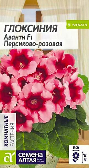 Семена Глоксиния "Аванти Персиково-розовая".<br>
Эффектноцветущее комнатное растение с крупными персиково-розовыми колокольчатыми цветками диаметром до 8 см. Куст компактный, высотой до 30 см, с крупными темно-зелеными опушенными листьями. Растения не вытягиваются и формируют компактную розетку с короткими междоузлиями. Семена на рассаду высевают в январе-феврале, не заделывая землей, а просто накрывая ящики стеклом или полиэтиленовой пленкой для сохранения влажности. Для получения наилучшего результата посев рекомендуем проводить в торфяные таблетки (одно драже в таблетку). Всходы появляются только на свету при температуре + 22-24°С через 10-15 дней. Пока всходы мелкие, их лучше не поливать, а опрыскивать. Цветение наступает через 9-11 месяцев с момента появления всходов. Цветущим глоксиниям необходимо хорошее освещение, но от прямых солнечных лучей их лучше притенять. Поливать теплой водой под корень. Внимание! Семена дражированные - оболочку драже не разрушать!