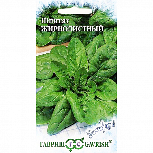 Семена Шпинат Жирнолистный Семена Шпинат Жирнолистный