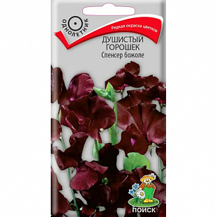 Семена Душистый горошек Спенсер божоле