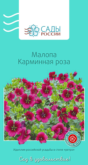 Малопа Карминная роза

Пышное, очень эффектное растение с мощными ветвистыми стеблями и множеством крупных, до 9 см в диаметре, прелестных карминно-розовых воронковидных цветков на длинных тонких цветоножках. Для малопы лучше всего подходят питательные рыхлые качественные грунты с хорошей водопроницаемостью. Отлично переносит обрезку. Ее производят для формирования кустов и использования соцветий в букетах. Холодостойка и неприхотлива.