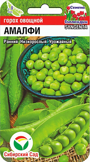 Семена Горох Амалфи