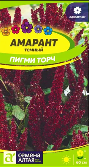 Семена Амарант "Пигми Торч" темный.<br>
 Декоративное растение высотой до 60 см, с характерной бордовой окраской цветоносов, соцветий и прожилок листьев, благодаря которой растение выделяется в цветниках среди прочих растений. Побеги густооблиственные, переходят в пирамидальные метельчатые соцветия до 40 см длиной, приобретающие к осени каштановый оттенок. Интересно смотрится в различных композициях зимних букетов. Тепло- и светолюбивое растение. Предпочитает солнечные участки на плодородных дренированных, достаточно увлажненных легких почвах с нейтральной реакцией.&nbsp;Посевы на рассаду проводят в конце марта - начале апреля в ящики. Дренаж обязателен! Семена смешивают с речным песком в пропорции 1:15 и распределяют по поверхности увлажненного субстрата, сверху заделывают слоем грунта 1-2 см. Посевы увлажняют, накрывают пленкой и помещают в теплое место, периодически открывая для проветривания.