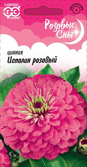 Семена Цинния Исполин розовый.
Серия высокорослых крупноцветковых цинний для элитного оформления сада.
Отличается чрезвычайно обильным и продолжительным цветением, прочными ветвящимися цветоносами, чистыми и стойкими к выгоранию тонами соцветий. 
формирует приподнятые, разветвленные кусты высотой до 90 см. Соцветия георгиновидные, крупные, розовые, 15 см в диаметре, с высокой устойчивостью к неблагоприятным погодным условиям. Цветет с июня до заморозков. Циннии светолюбивы, засухоустойчивы и теплолюбивы; отзывчивы на полив, без длительного полива снижается интенсивность цветения и уменьшается размер соцветий. Выращивают рассадным способом. Семена высевают в апреле.
Всходы появляются через 4-6 дней. В начале июня растения высаживают на расстоянии 20 см.