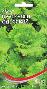 Салат Кучерявец Одесский