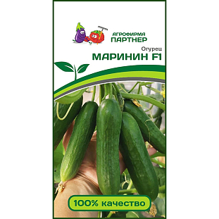 Семена Огурец Маринин F1