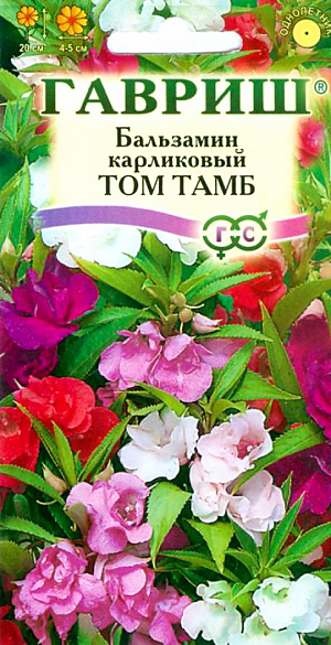 Семена Бальзамин Том Тамб.
Эти однолетние растения привлекательны широкими, хорошо разрастающимися кустиками до 20 см высотой, с яркими махровыми цветками. 
Листья ланцетные, пильчатые. Цветки сидячие, многочисленные, различных оттенков розового, лилового, фиолетового, красного. 
Тепло- и светолюбив, выдерживает небольшое затенение. Хорошо растет на легких плодородных почвах. 
Раннее прищипывание побегов способствует сильному ветвлению. 
Используют для ярко цветущих бордюров, клумб, вазонов, балконов, а также как комнатное горшечное растение.