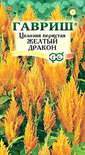 Семена Целозия Желтый Дракон перистая.
Растения высотой до 70 см с зелеными листьями и оригинальными метельчатыми, густомахровыми соцветиями желтой окраски. Цветут с июля по сентябрь. Теплолюбивые растения, наибольшей декоративности достигают при посадке на солнечных, защищенных от ветра, местах и достаточно плодородных почвах. Семена высевают в марте в рассадные ящики, слегка присыпая землей. При температуре почвы 18-25° С всходы появляются через 14-20 дней. Для выращивания полноценной рассады, производят две пикировки, одну - после развития у сеянцев нескольких листочков, вторую – в середине мая в горшки диаметром 7 см. Рассаду высаживают в открытый грунт в первой половине июня, когда минует угроза заморозков, выдерживая расстояние между растениями 20-25 см. Используют для посадки группами на клумбах и для составления сухих композиций.