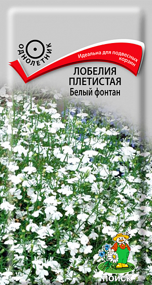Семена Лобелия плетистая Белый фонтан.
Идеальный сорт для подвесных корзин и контейнеров. Красивое травянистое растение со свисающими побегами (длиной до 30 см), усыпано чисто-белыми цветками. Листья светло-зеленые. Цветет с июня по сентябрь.
Агротехника. Растение неприхотливое, наибольшей декоративности достигает на открытых солнечных местах. Предпочитает суглинистые или супесчаные почвогрунты. При выращивании рассады посевы проводят в феврале. Семена слегка вдавливают в почву, землей не присыпают. Посадочную емкость накрывают стеклом и ставят в освещенное теплое место. При температуре почвы +20°C всходы появляются на 7-14 день. Сеянцы пикируют в легкую землю. Рассаду высаживают после окончания весенних заморозков. Для лучшего кущения верхушки молодых растений прищипывают. Семена соответствуют требованиям международных стандартов и ГОСТу РФ 12260-81