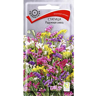 Семена Статица Радужная смесь Семена Статица Радужная смесь