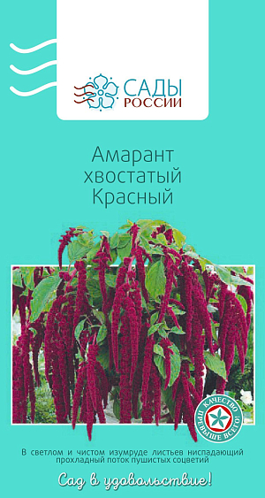 Амарант хвостатый Красный

Очень эффектный декоративно-лиственный однолетник. Буквально завораживает красотой длинных, до 60 см, поникающих колосовидно-метельчатых темно-вишневых соцветий, ниспадающих бархатной бахромой с верхушки к основанию стебля. Теплолюбив. Рассаду высаживают в грунт, когда минует угроза возвратных заморозков.