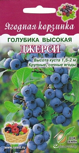 Голубика высокая Джерси