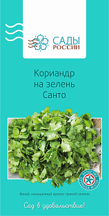 Кориандр на зелень Санто