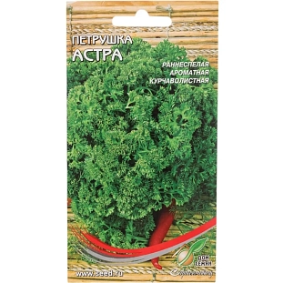 Петрушка Кучерявец курчаволистная