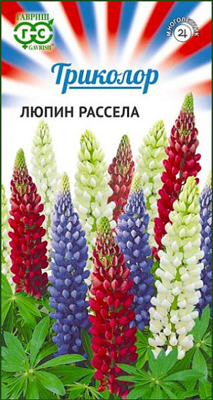 Семена Люпин Триколор<br>
 <br>
 Многолетняя красивоцветущая смесь в бело-сине-красных оттенках флага России. Растения высокие (100 см), с вертикальными цветоносами, в нижней части украшены эффектными пальчатыми листьями. Соцветие–плотная, многоцветковая кисть длиной до 45 см, с многочисленными душистыми цветками размером 2 см. Цветет с первых чисел июня в течение 30-40 дней. Люпин светолюбив, но выносит легкую полутень. Хорошо растет на любых нетяжелых почвах с рН 5,5-6,0. Семена высевают под зиму или ранней весной непосредственно в грунт. Смесь эффектно смотрится в посадках большими массивами на дальнем плане или на газонах перед живой изгородью.<br>